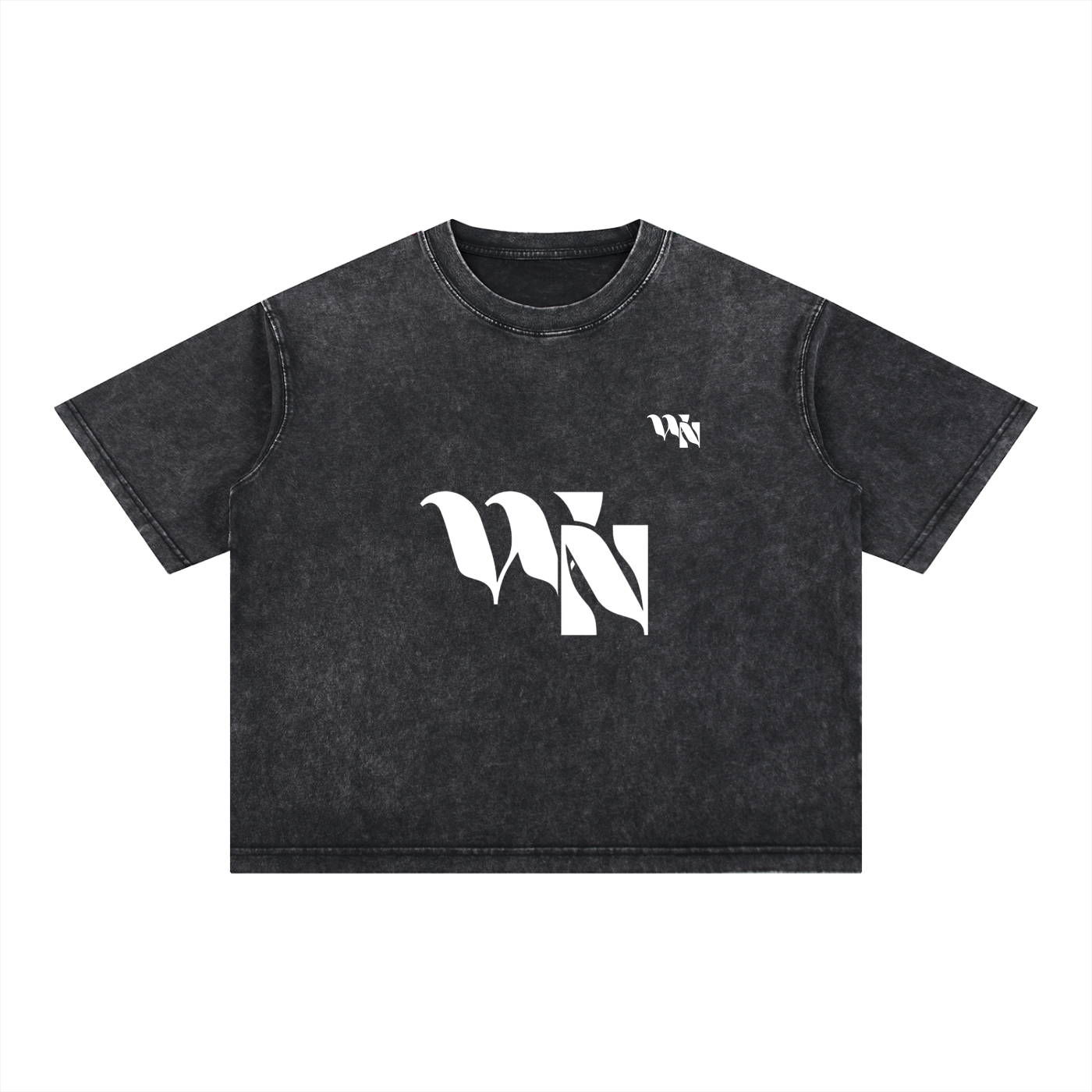 Wise Nation Mineral Wash Boxy Cotton T-Shirt